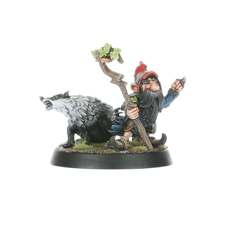 Gnome Blood Bowl Team: The Glimdwarrow Groundhogs: Blood Bowl