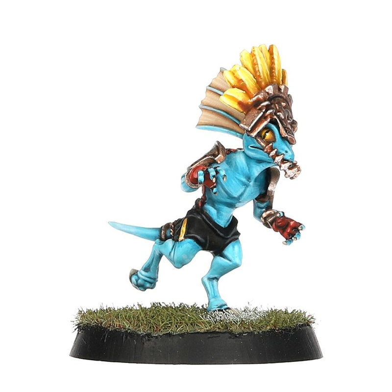 Lizardmen Blood Bowl Team – Gwaka'moli Crater Gators: Blood Bowl