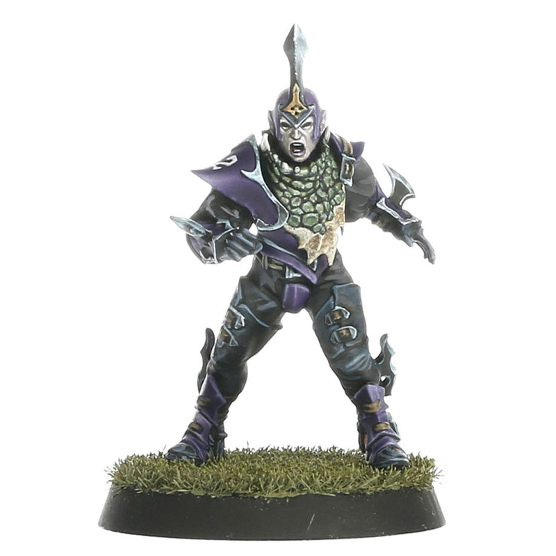 Dark Elf Blood Bowl Team – Naggaroth Nightmares: Blood Bowl