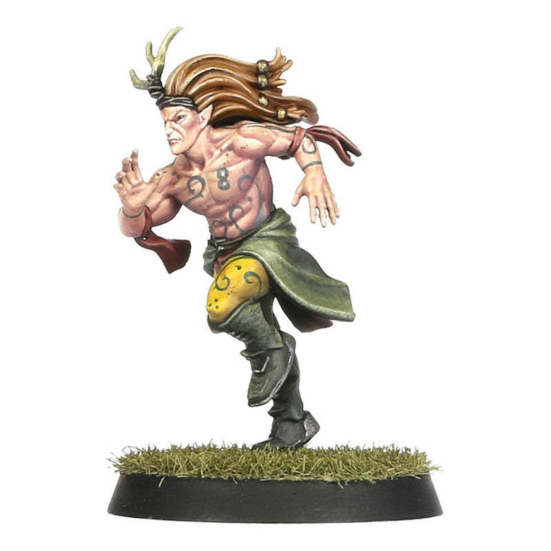 Wood Elf Blood Bowl Team – Athelorn Avengers: Blood Bowl