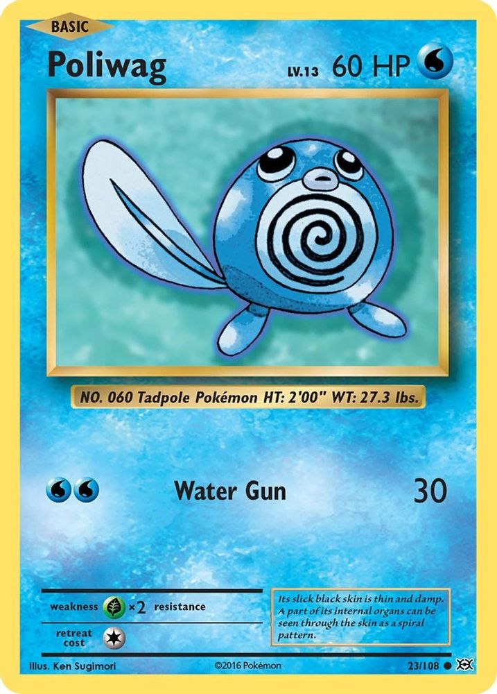 Poliwag (23/108) [XY: Evolutions]