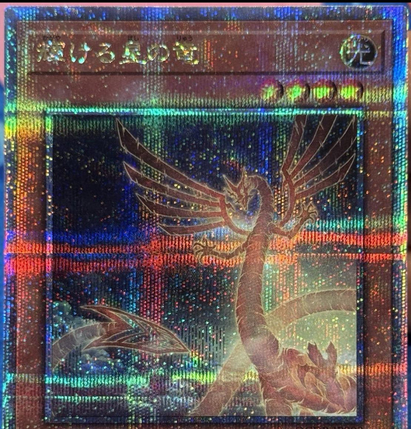 Shining Star Dragon (Quarter Century Secret Rare) - QCDB-JP003