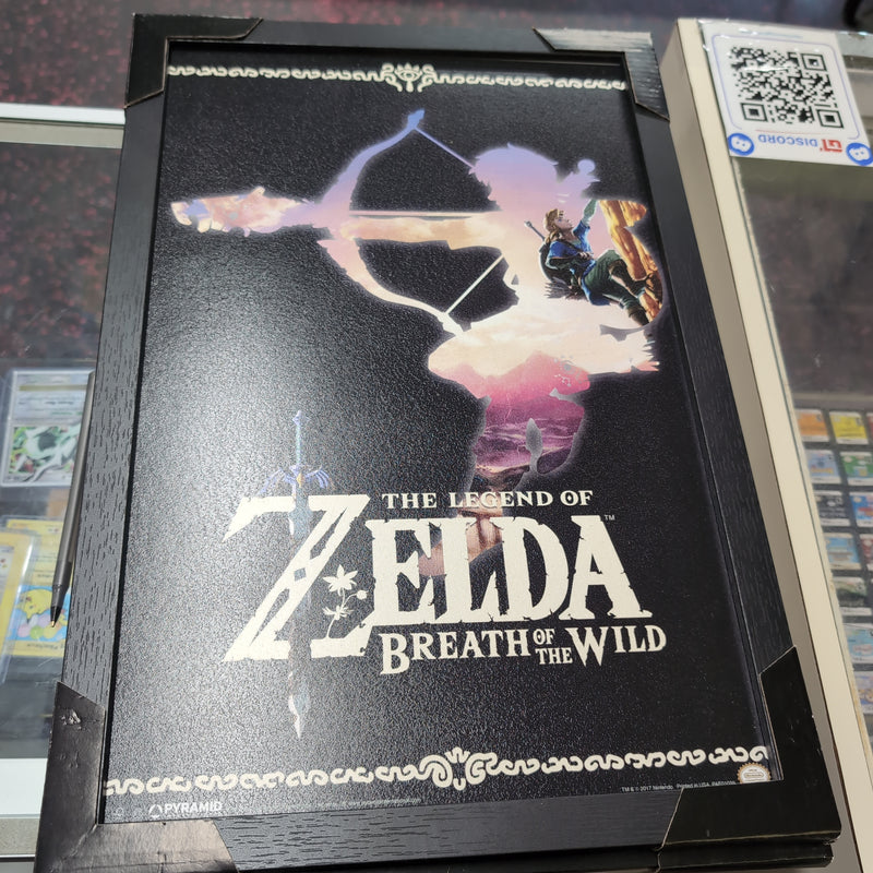 Legend Of Zelda Link Silhouette Framed Wall Art - Brushed Finish 18'