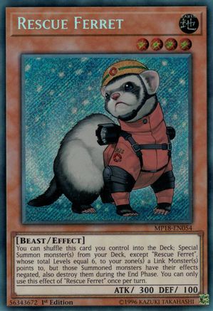 Rescue Ferret [MP18-EN054] Secret Rare