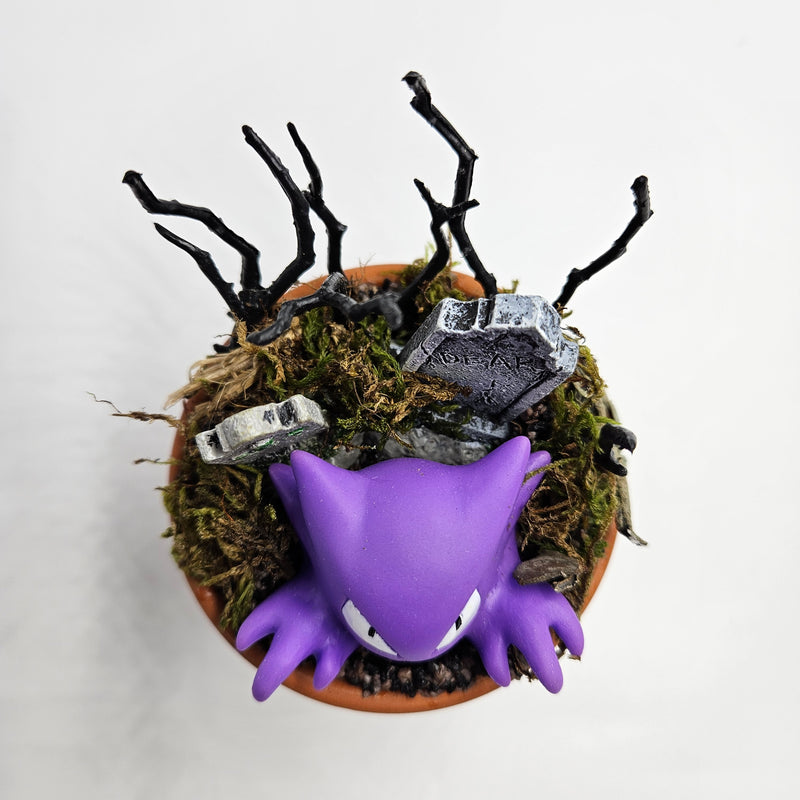 Potted Haunter Terrarium - Pokemon Display