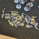 Triarch Praetorians - Necrons (10 Models MAGNETISED) - Warhammer 40K (Pre-Owned)