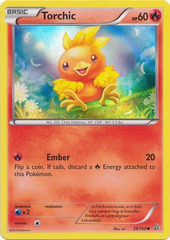 Torchic (25/160) (Sheen Holo) [XY: Primal Clash]