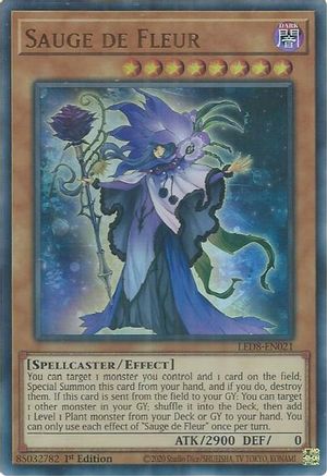 Sauge de Fleur [LED8-EN021] Ultra Rare