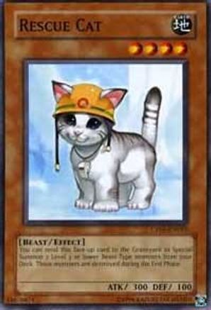 Rescue Cat [CP05-EN015] Common
