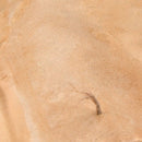 Terrains Sandy Desert - 250ml (Acrylic)
