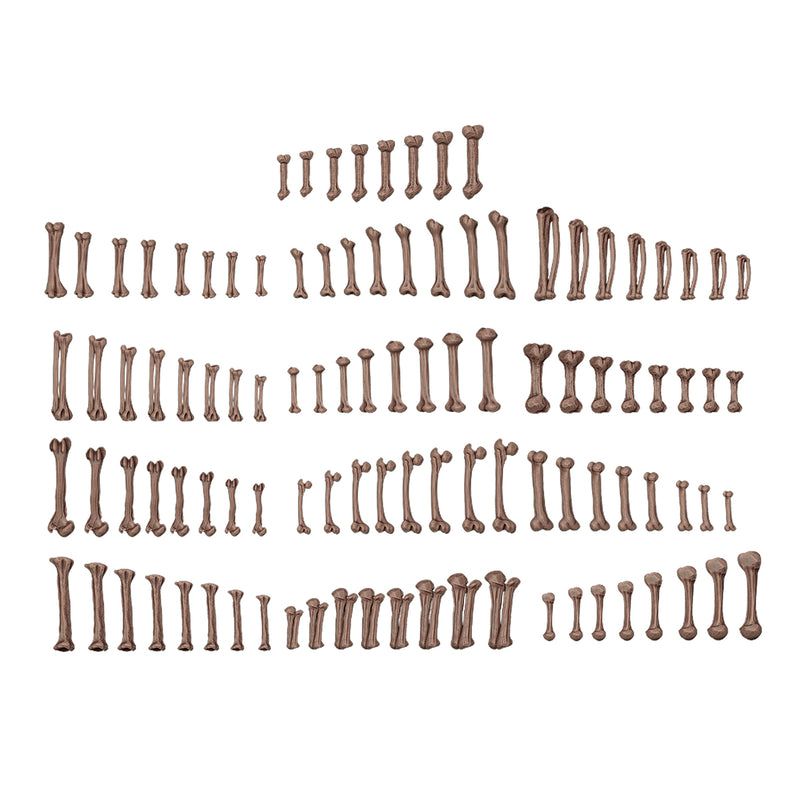 Human Bones - Basing Bits (120 Pieces)
