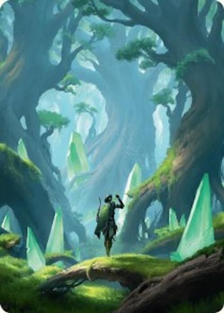 Forest Art Card (25/54) [Foundations Art Series]