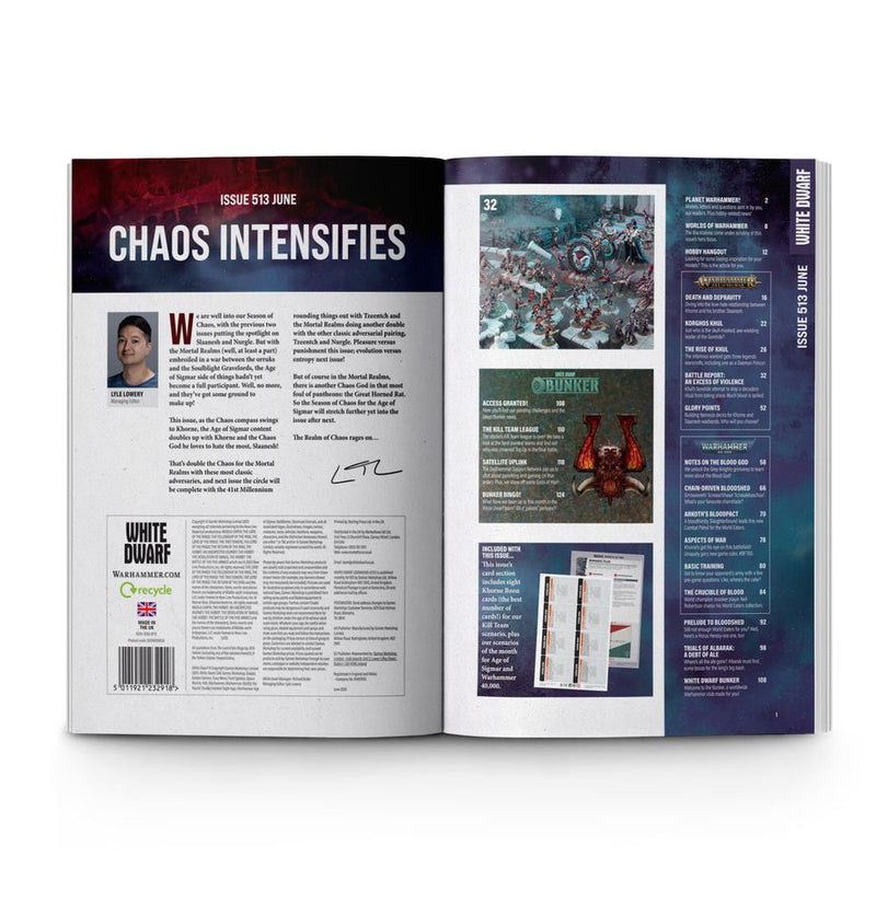White Dwarf 513