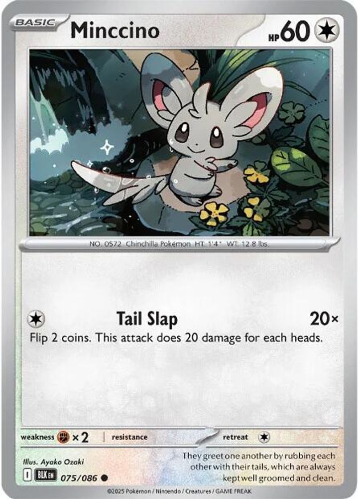 Minccino (075/086) [Scarlet & Violet: Black Bolt]