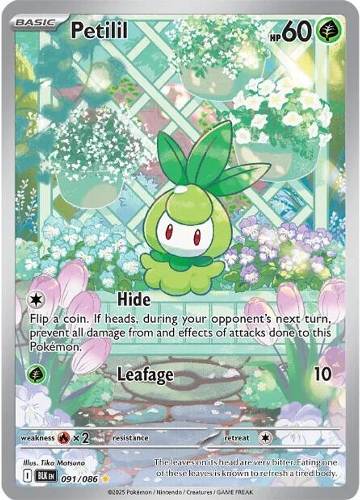 Petilil (091/086) [Scarlet & Violet: Black Bolt]