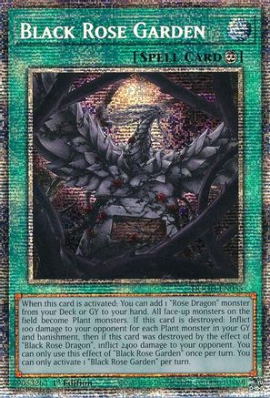 Black Rose Garden (Starlight Rare) [DOOD-EN055] Starlight Rare