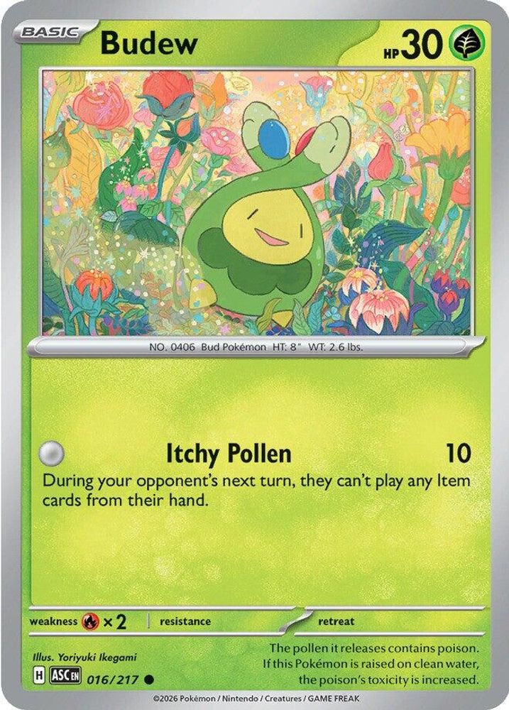 Budew 016/217  - Reverse Holofoil ME Ascended Heroes - Common