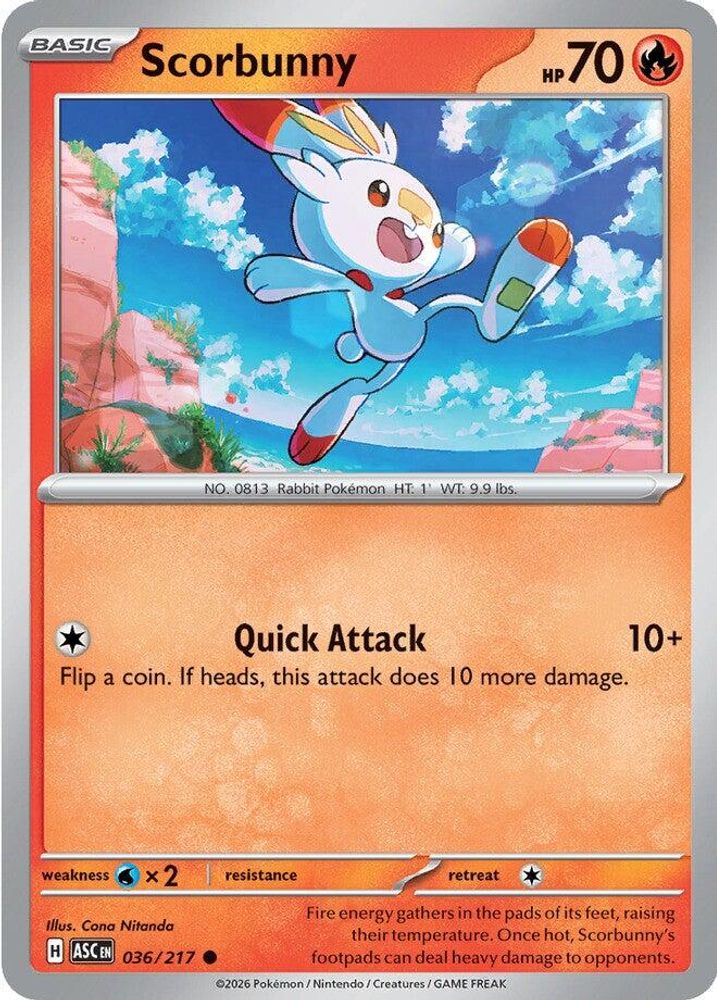 Scorbunny (036/217) [Mega Evolution: Ascended Heroes]