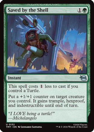 Saved by the Shell [Teenage Mutant Ninja Turtles]