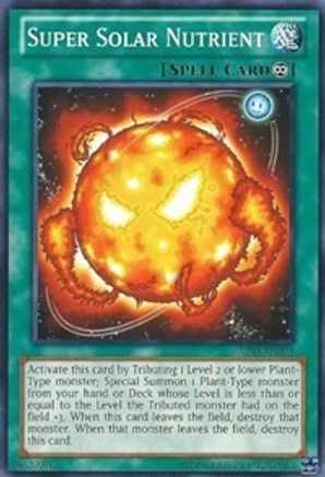 Super Solar Nutrient [AP03-EN024] Common