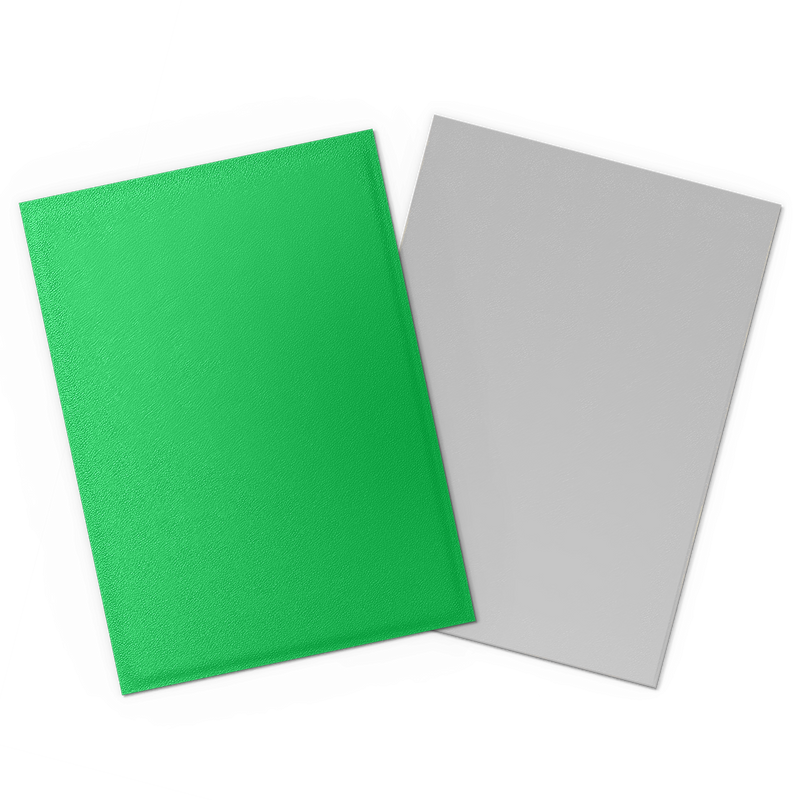 Dragon Shield: Standard 100ct Sleeves - Apple Green & Silver (Dual Matte)