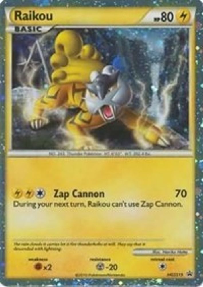 Raikou (HGSS19) [HeartGold & SoulSilver: Black Star Promos]