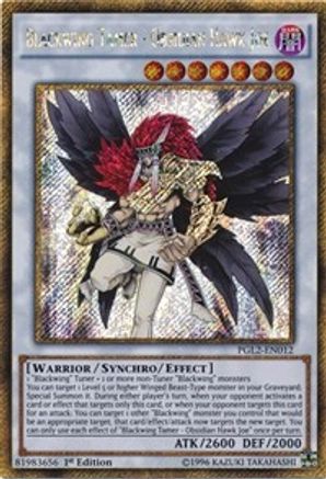 Blackwing Tamer - Obsidian Hawk Joe [PGL2-EN012] Gold Secret Rare