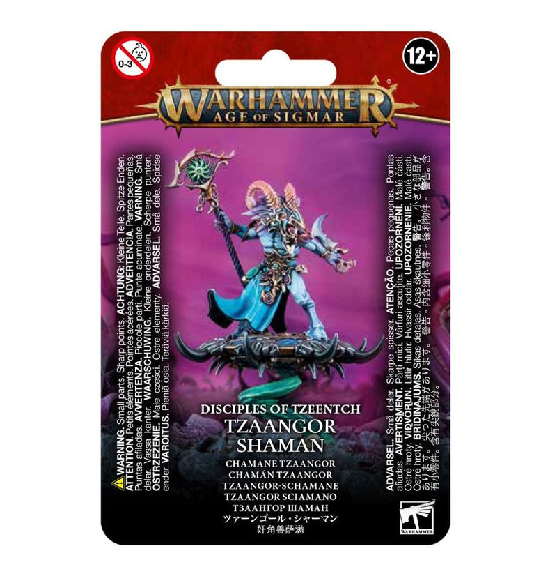 Tzaangor Shaman - Disciples of Tzeentch: Warhammer Age of Sigmar