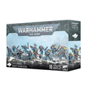 Grey Hunters - Space Wolves: Warhammer 40,000