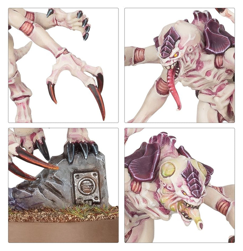 Tyranids - Combat Patrol: Warhammer 40,000