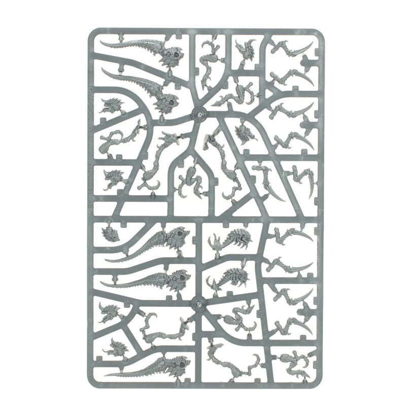 Hormagaunts - Tyranids: Warhammer 40,000