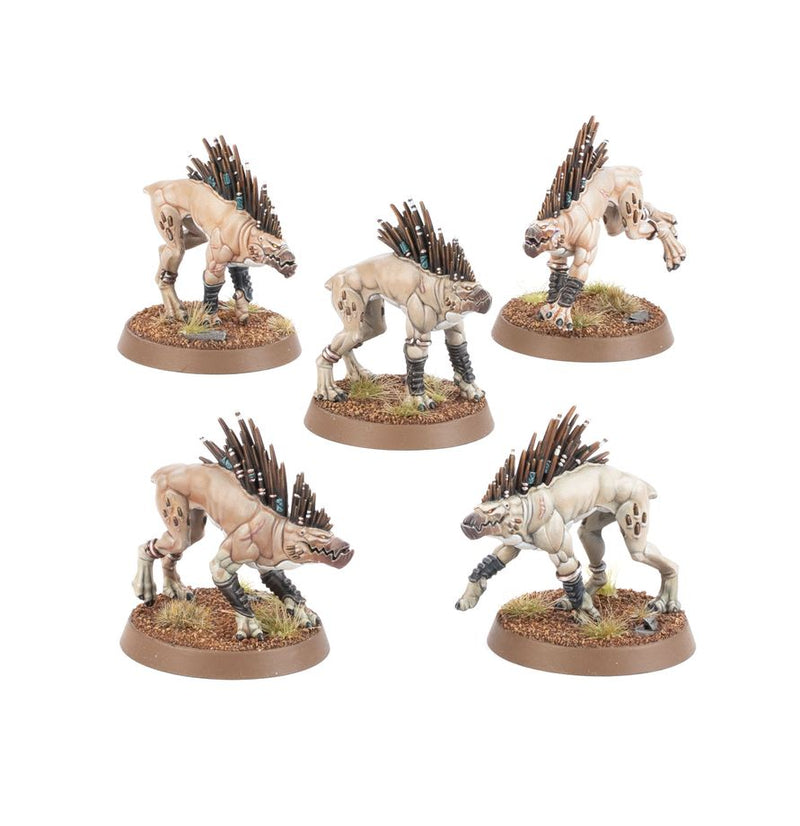 Kroot Hounds - T’au Empire: Warhammer 40,000