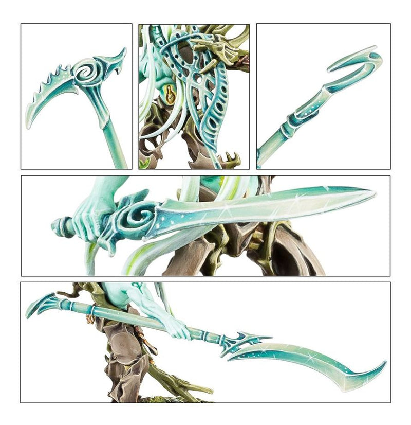 Tree-Revenants - Sylvaneth: Warhammer Age of Sigmar