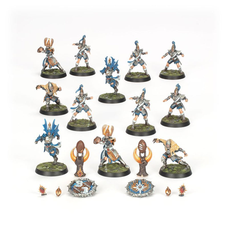High Elf Blood Bowl Team: The Caledor Dragons: Blood Bowl