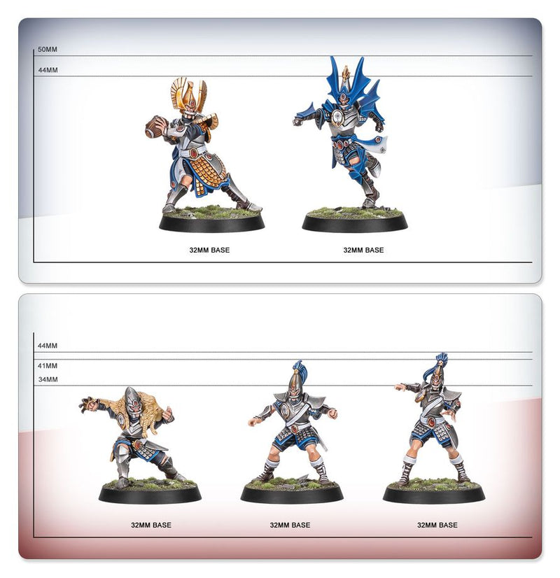 High Elf Blood Bowl Team: The Caledor Dragons: Blood Bowl