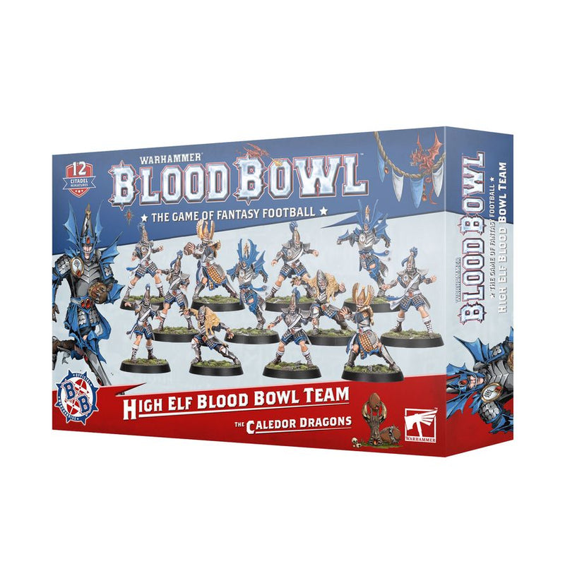 High Elf Blood Bowl Team: The Caledor Dragons: Blood Bowl