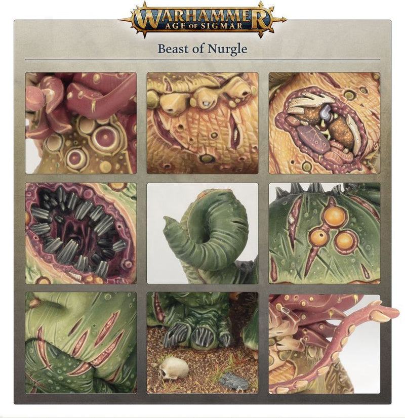 Beast of Nurgle - Maggotkin of Nurgle: Warhammer Age of Sigmar