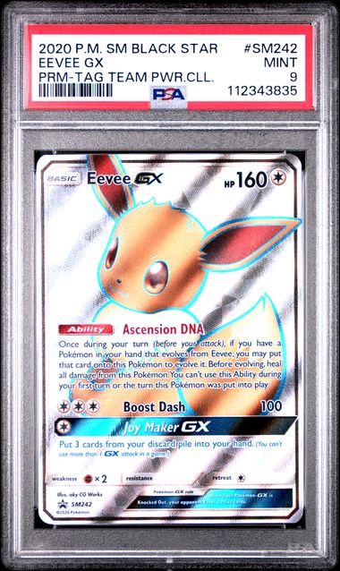 2020 POKEMON SM BLACK STAR PROMO #SM242 EEVEE GX PRM-TAG TEAM PWR.CLL.