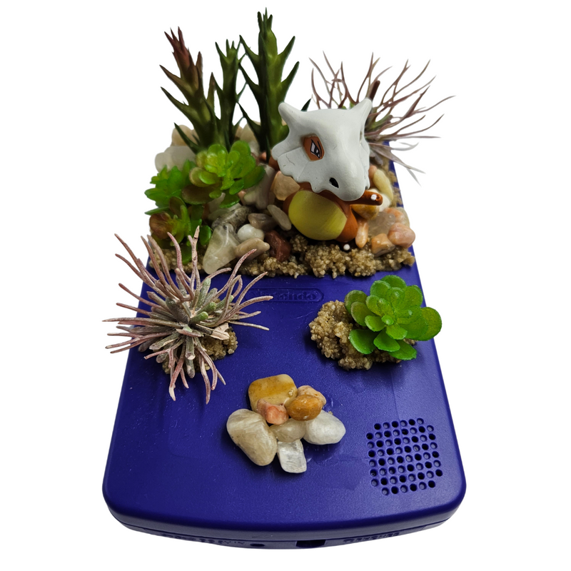 Gameboy Cubone Terrarium - Pokemon Display