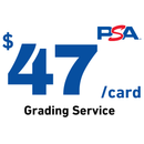 TCG Light - PSA Card Grading Service