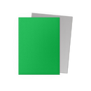 Dragon Shield: Standard 100ct Sleeves - Apple Green & Silver (Dual Matte)