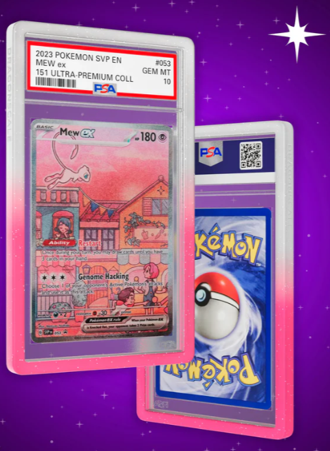 DragonScale PSA Slab Bumper - Radiant Rose