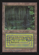 Bayou [International Collectors’ Edition]