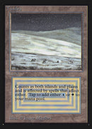 Tundra [International Collectors’ Edition]