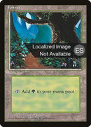 Forest (B) [Fourth Edition (Foreign Black Border)]